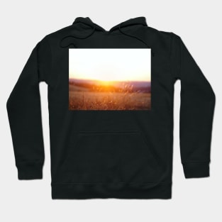 Sunset in the field Hoodie